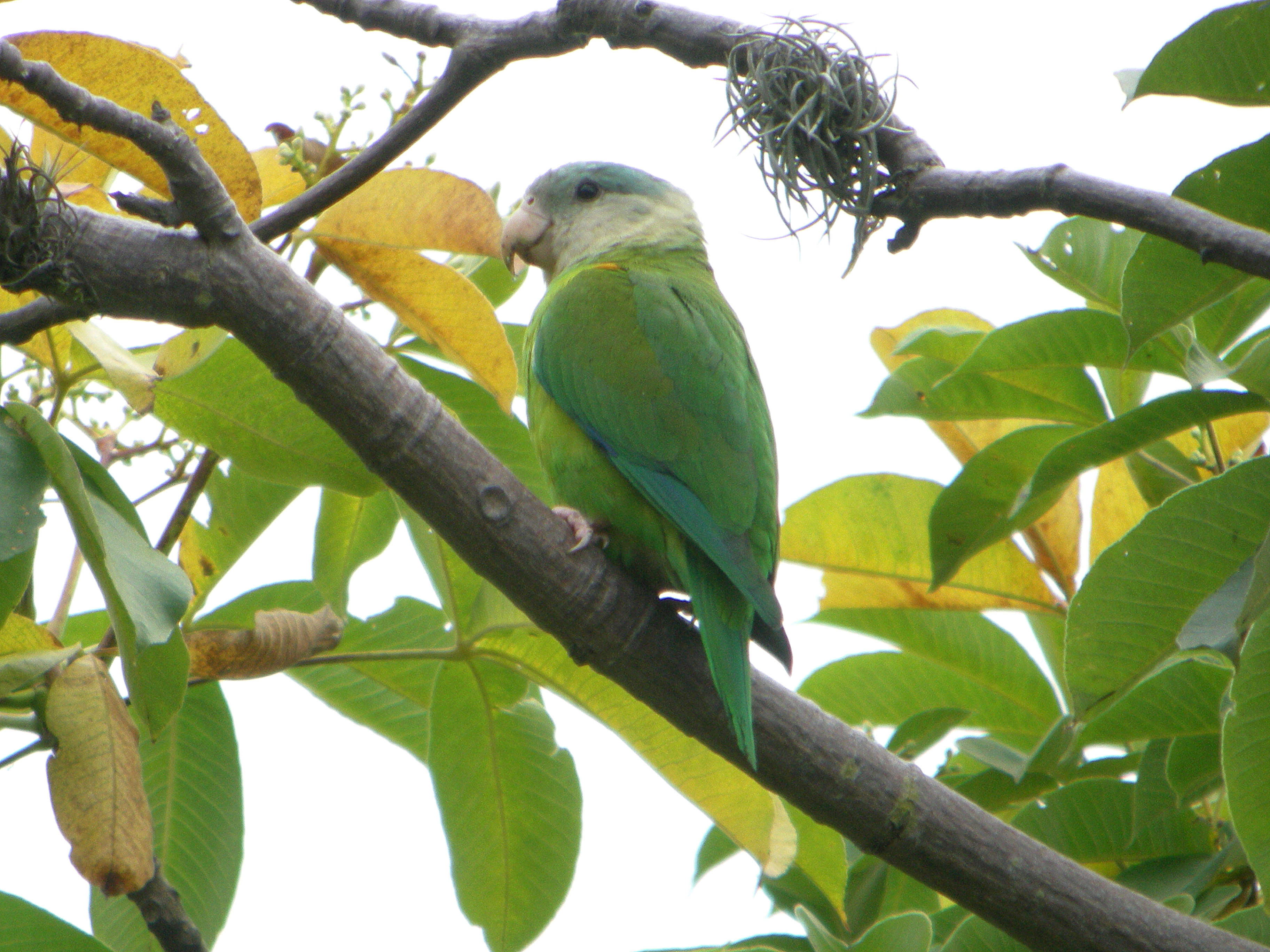 El Empalme, Guayas
