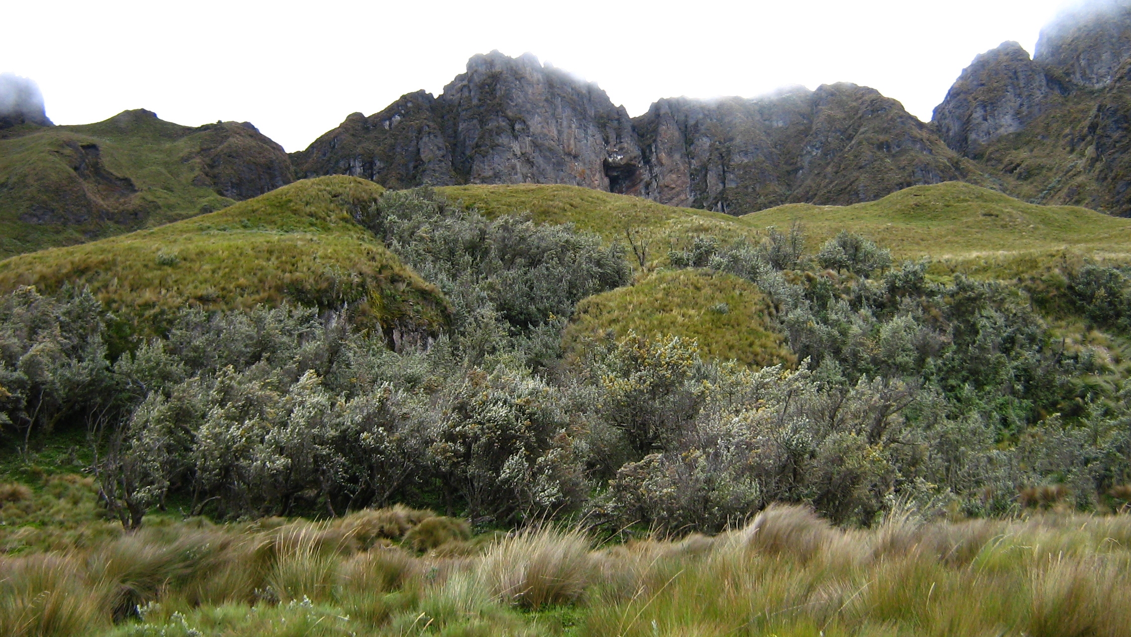 Cerro Puntas, Pichincha