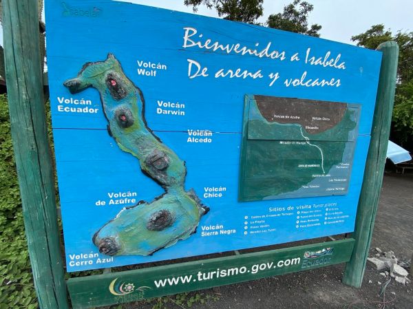 Volcán Wolf photo 3