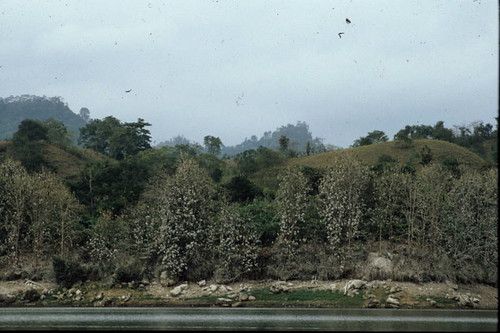 Poza Honda photo 2