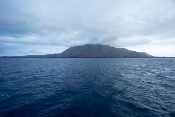 Volcán Wolf photo 4