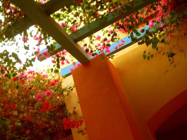 Hurghada photo 4