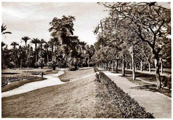 Ismailia photo 2