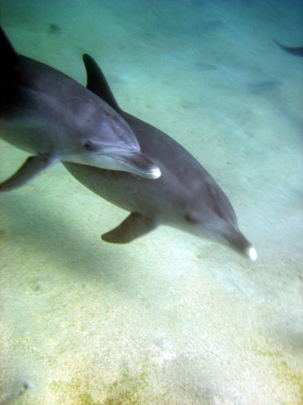 Marsa Alam photo 4