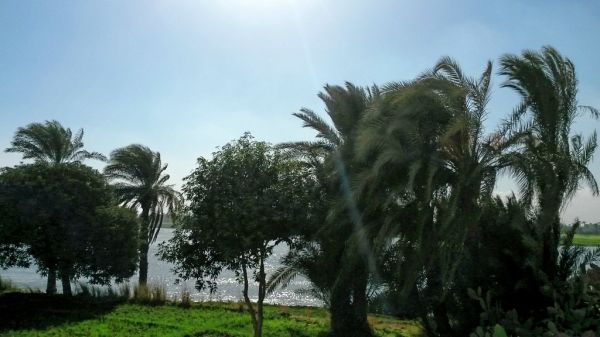 Minya photo 3