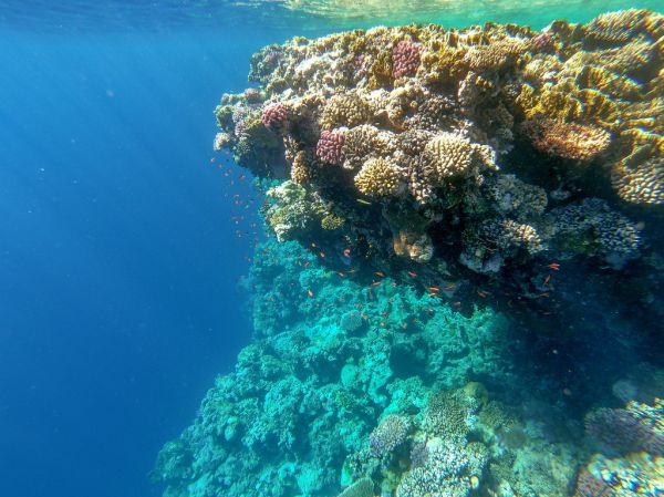 Sharm el-Sheikh photo 4