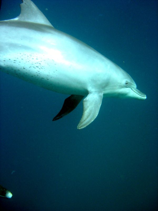 Marsa Alam photo 3