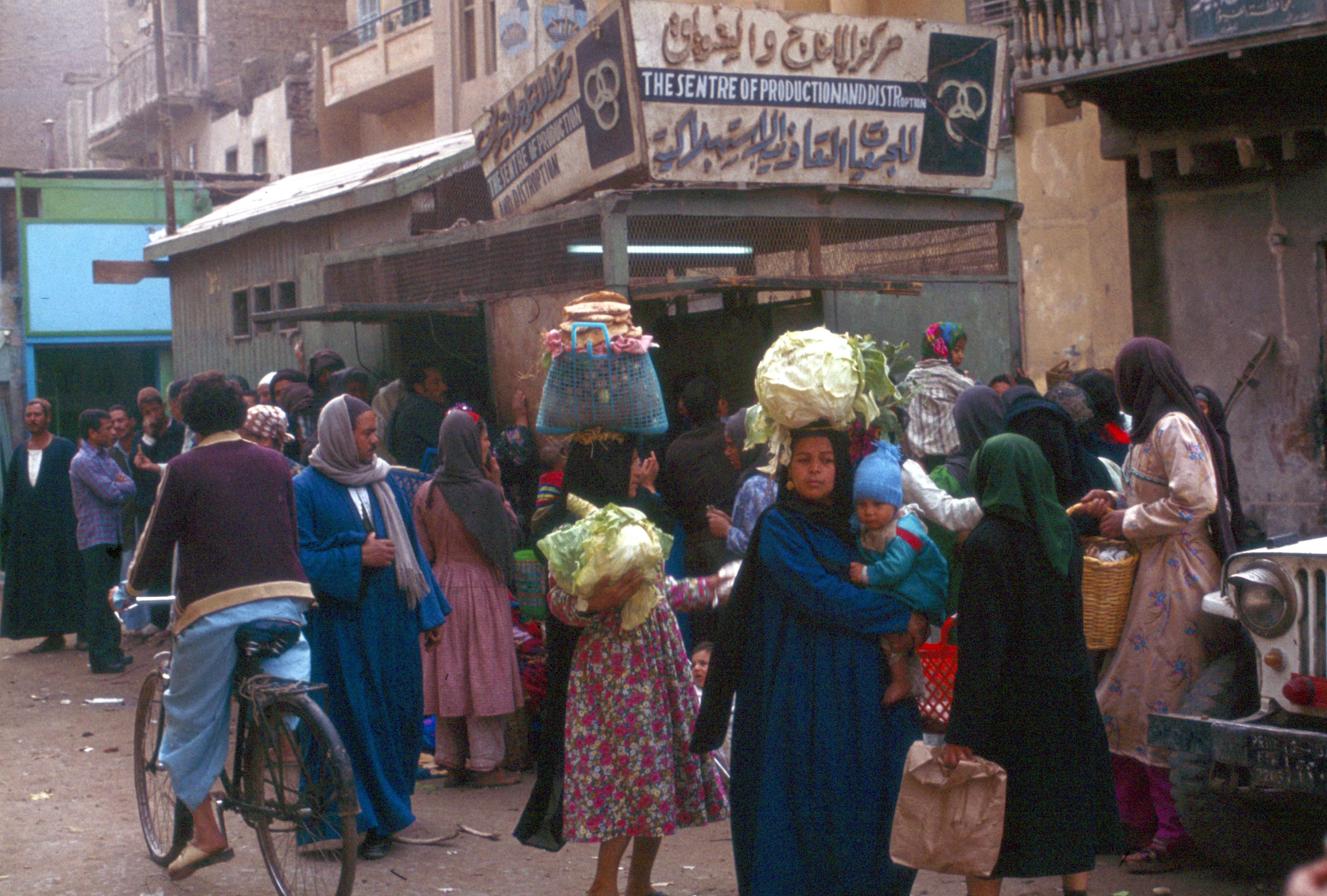 Al Fayyum photo 4