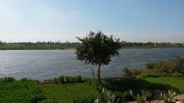 Minya photo 2