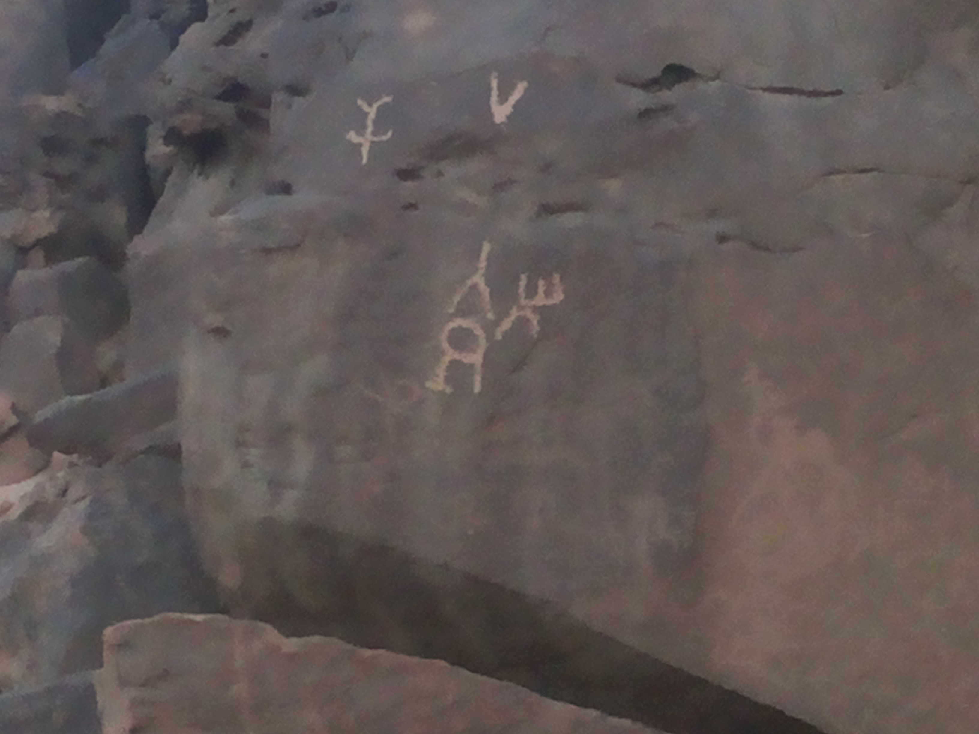 Shalateen photo 3