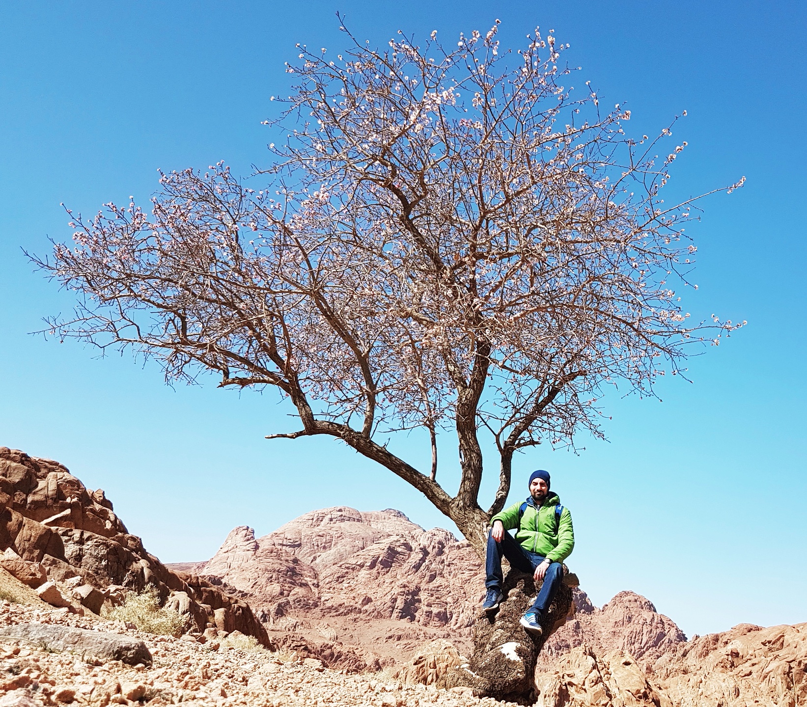 Saint Catherine, South Sinai