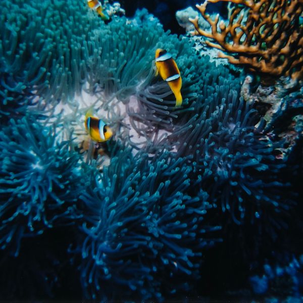 Safaga photo 3