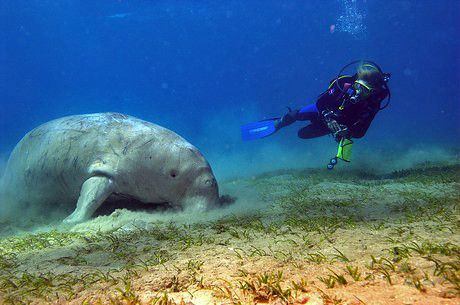 Sharm el-Sheikh photo 3
