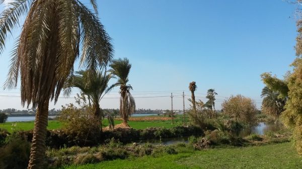 Minya photo 4