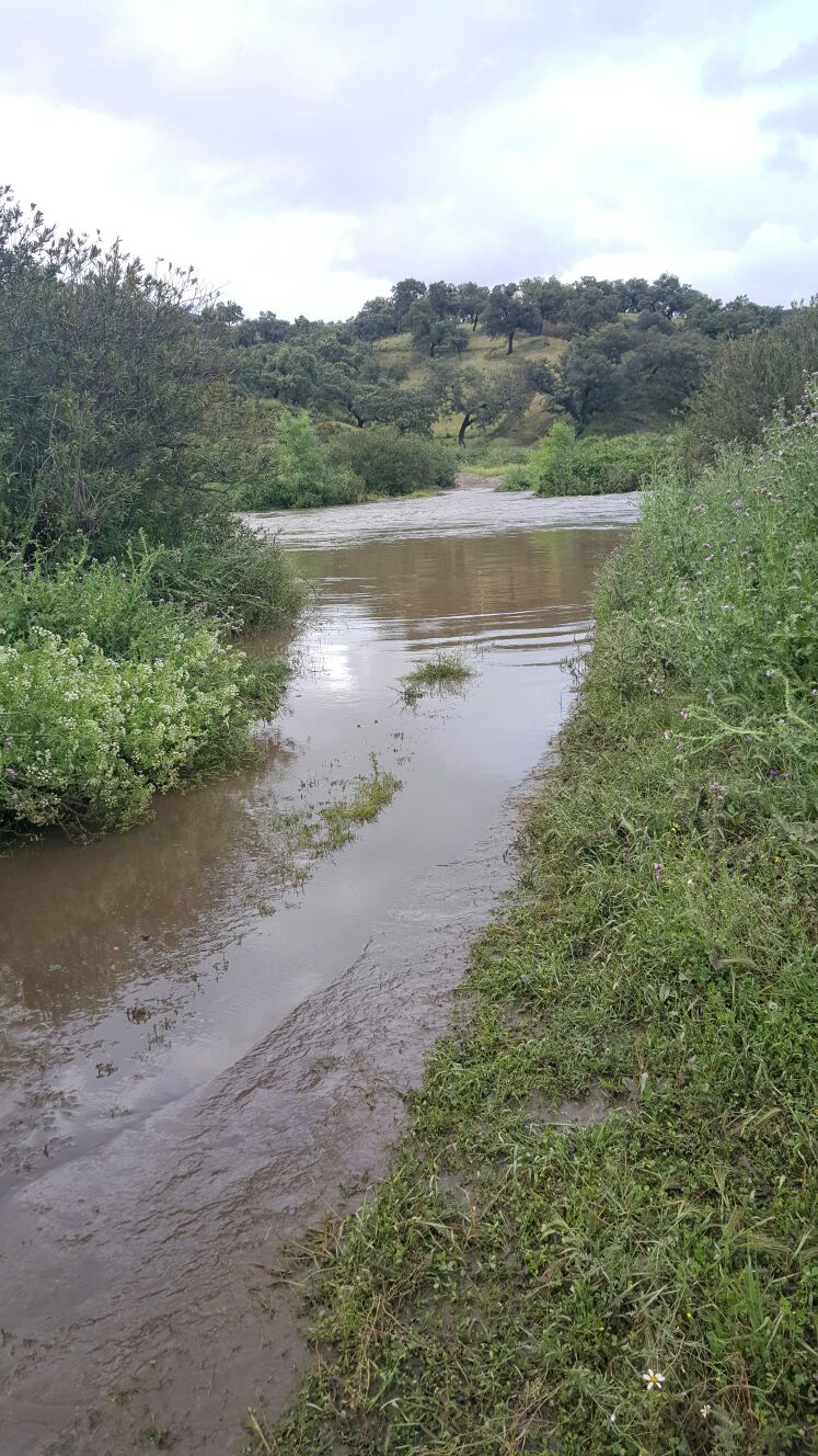 Rivera de Cala, 00