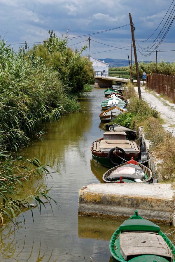 El Palmar, Murcia
