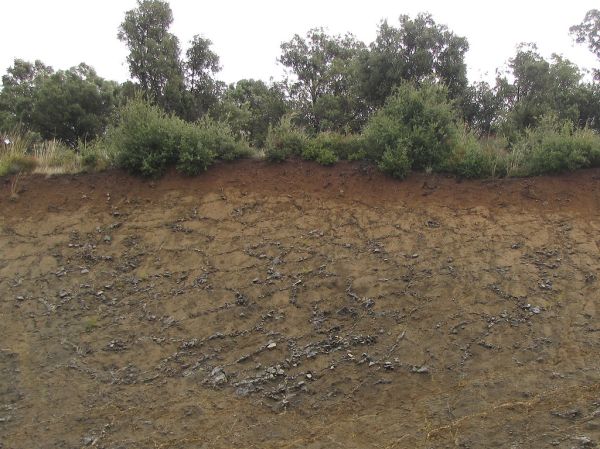 Valdepeñas de Jaén photo 3