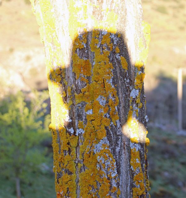 Cerro del Viento photo 2