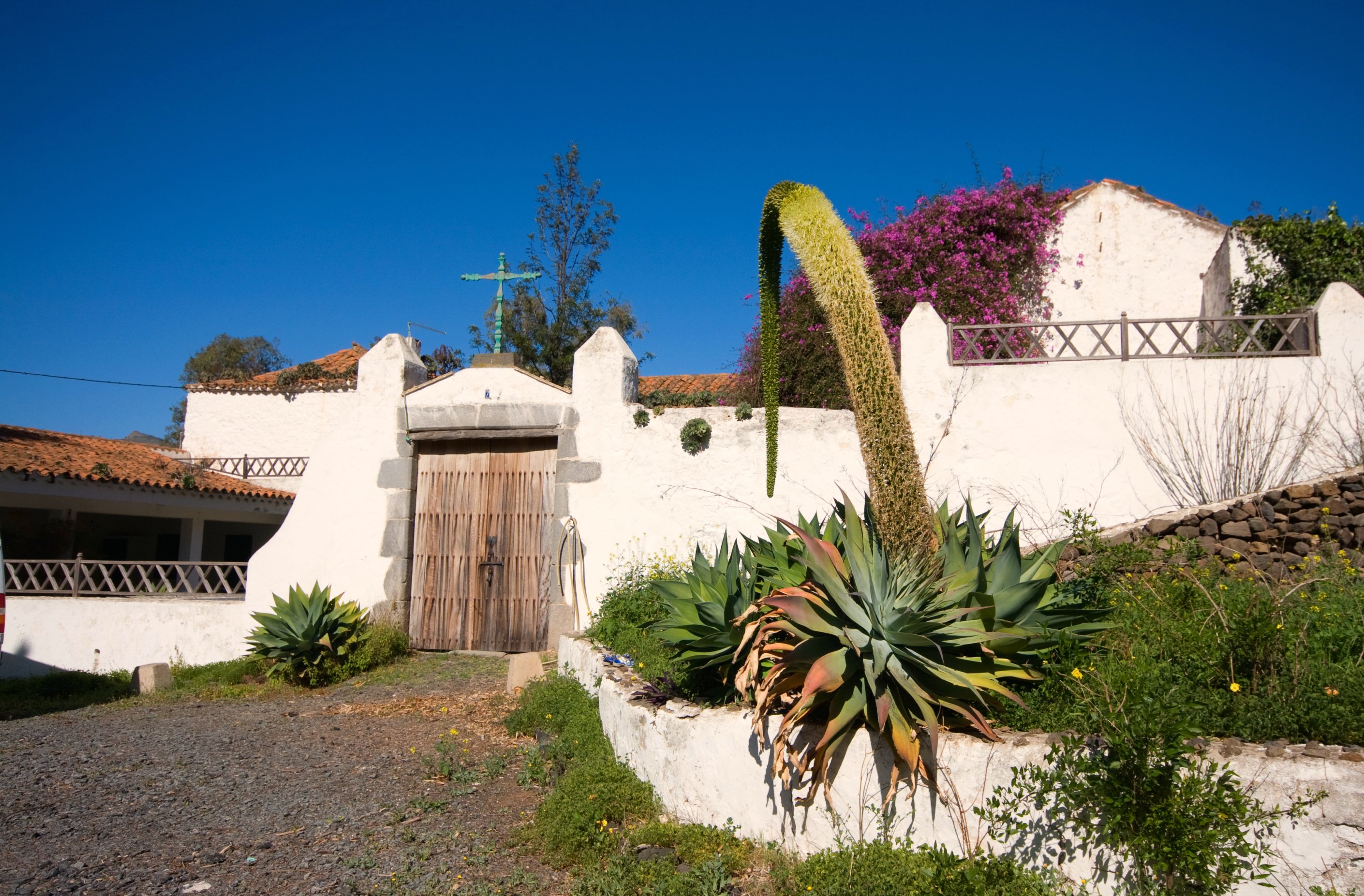 Valsequillo de Gran Canaria photo 3