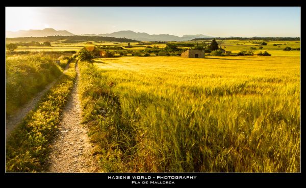 Sencelles, Balearic Islands