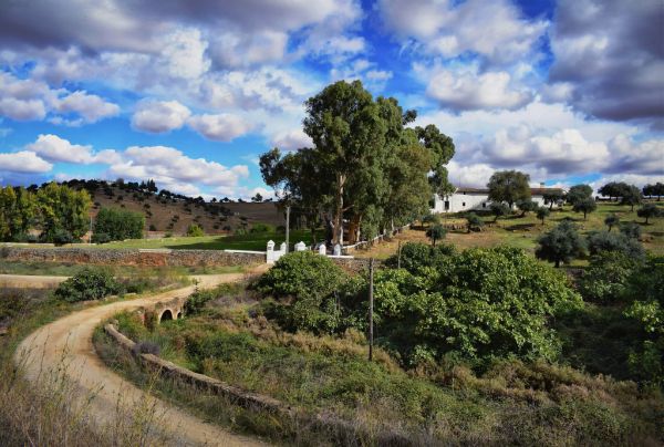 Zafra photo 4