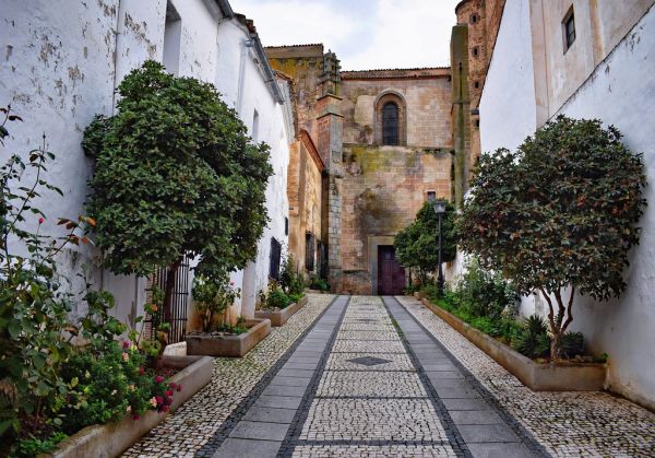 Zafra photo 3