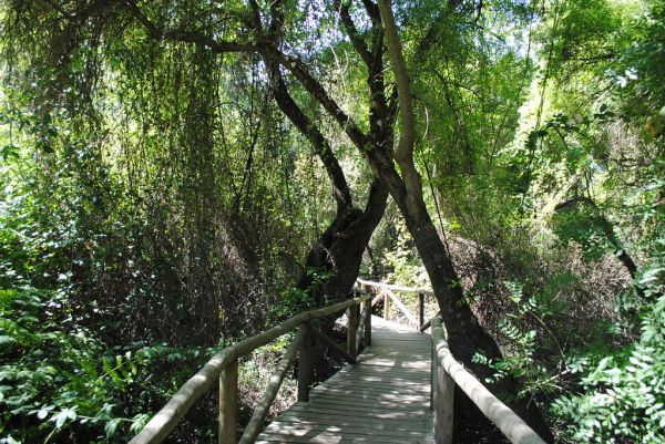 Rivera de Huelva, 00