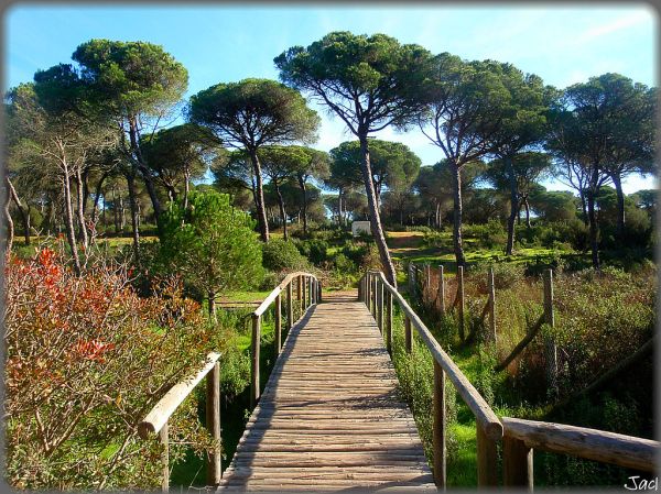 Huelva, Andalusia