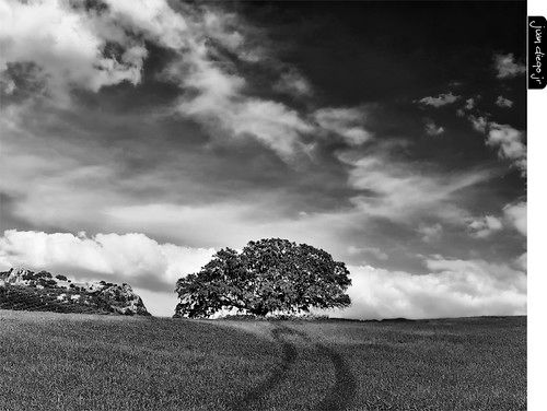 Villanueva del Rosario photo 3