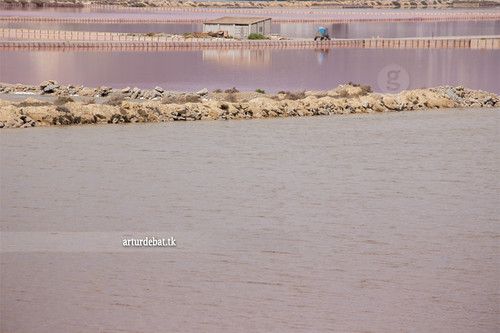 Salar photo 2