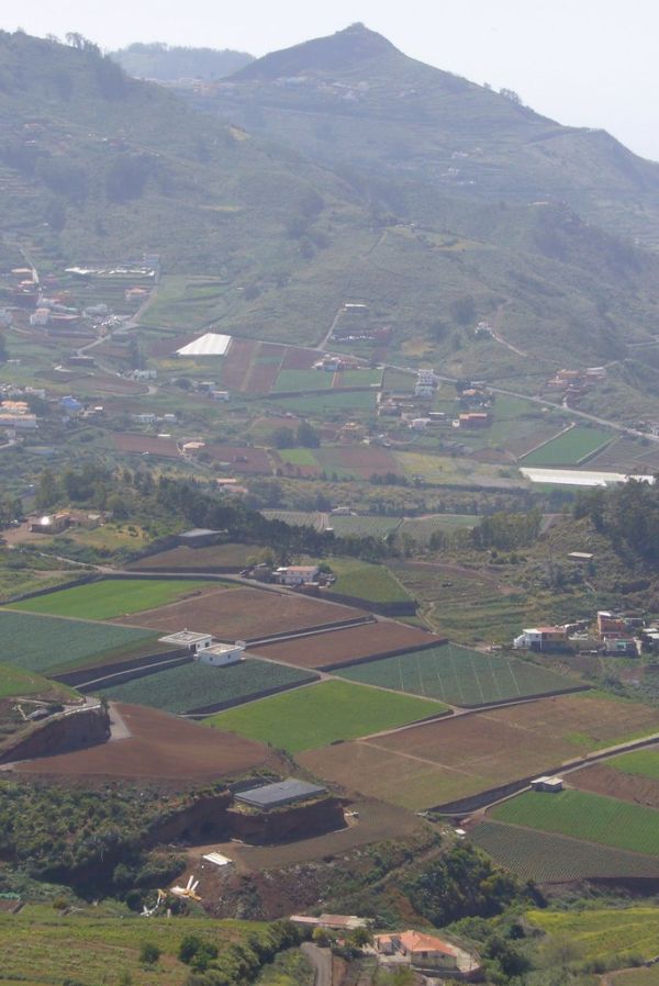 Tegueste, Canary Islands