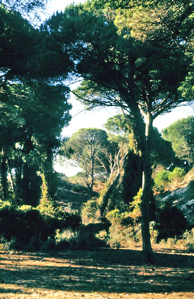 Cerro del Trigo photo 2