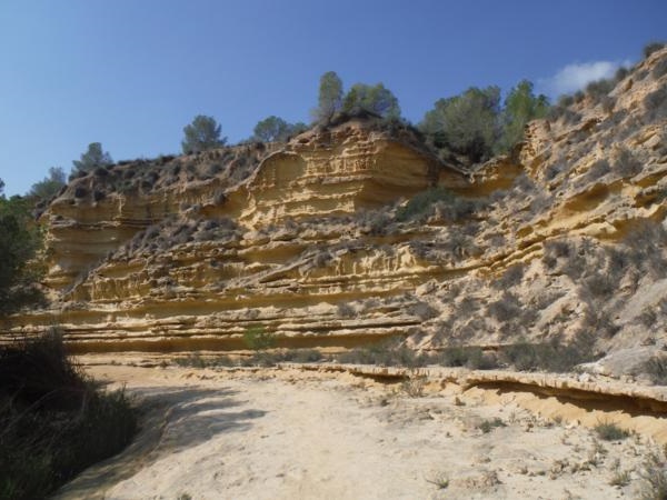 Pilar de la Horadada, Valencia