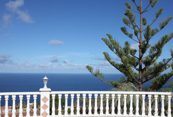 Sauzal photo 4