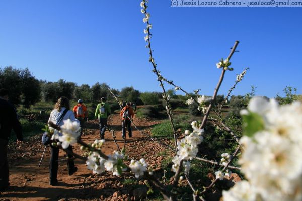 Zarza de Alange photo 2