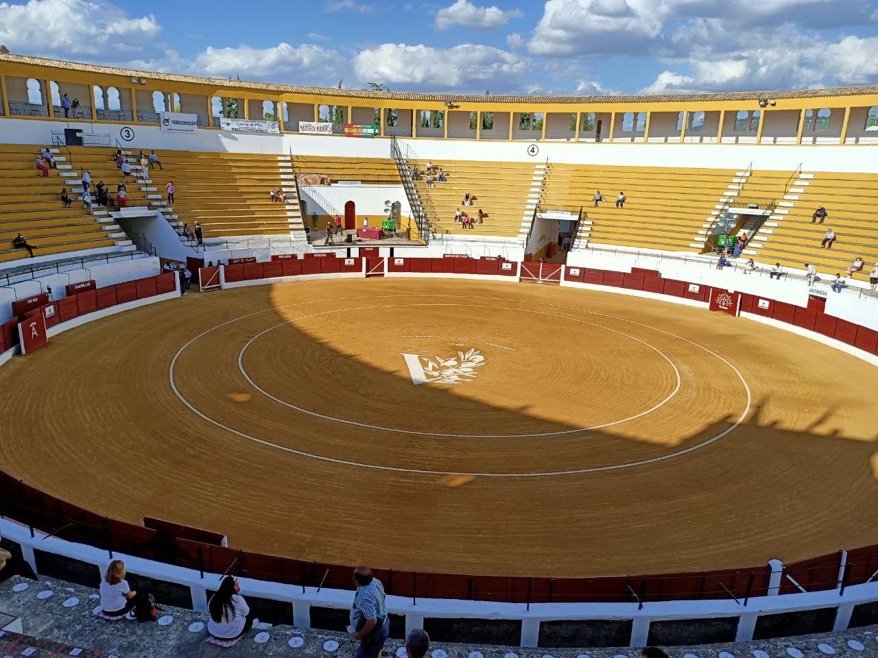 Villanueva del Arzobispo photo 3
