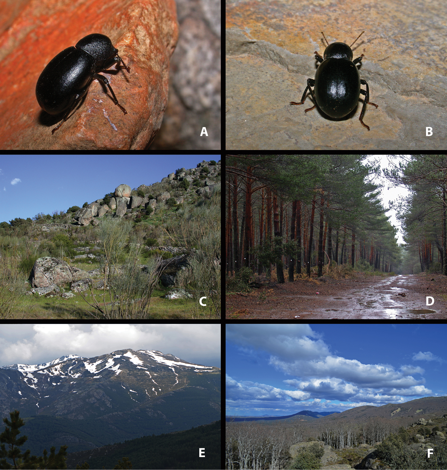 Sierra de Santa Ana photo 2