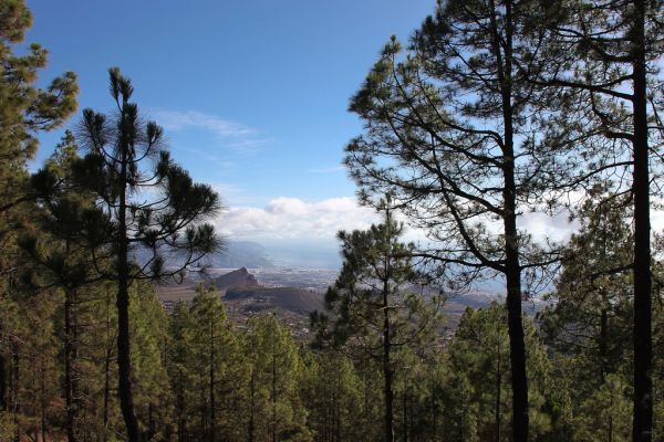 Tenerife photo 3