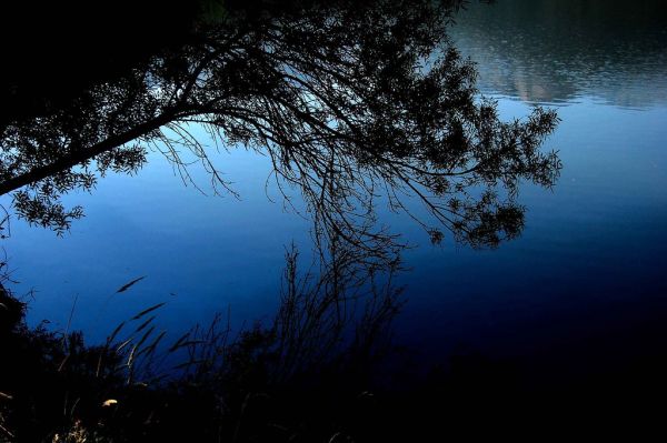 Embalse de San Pedro photo 3