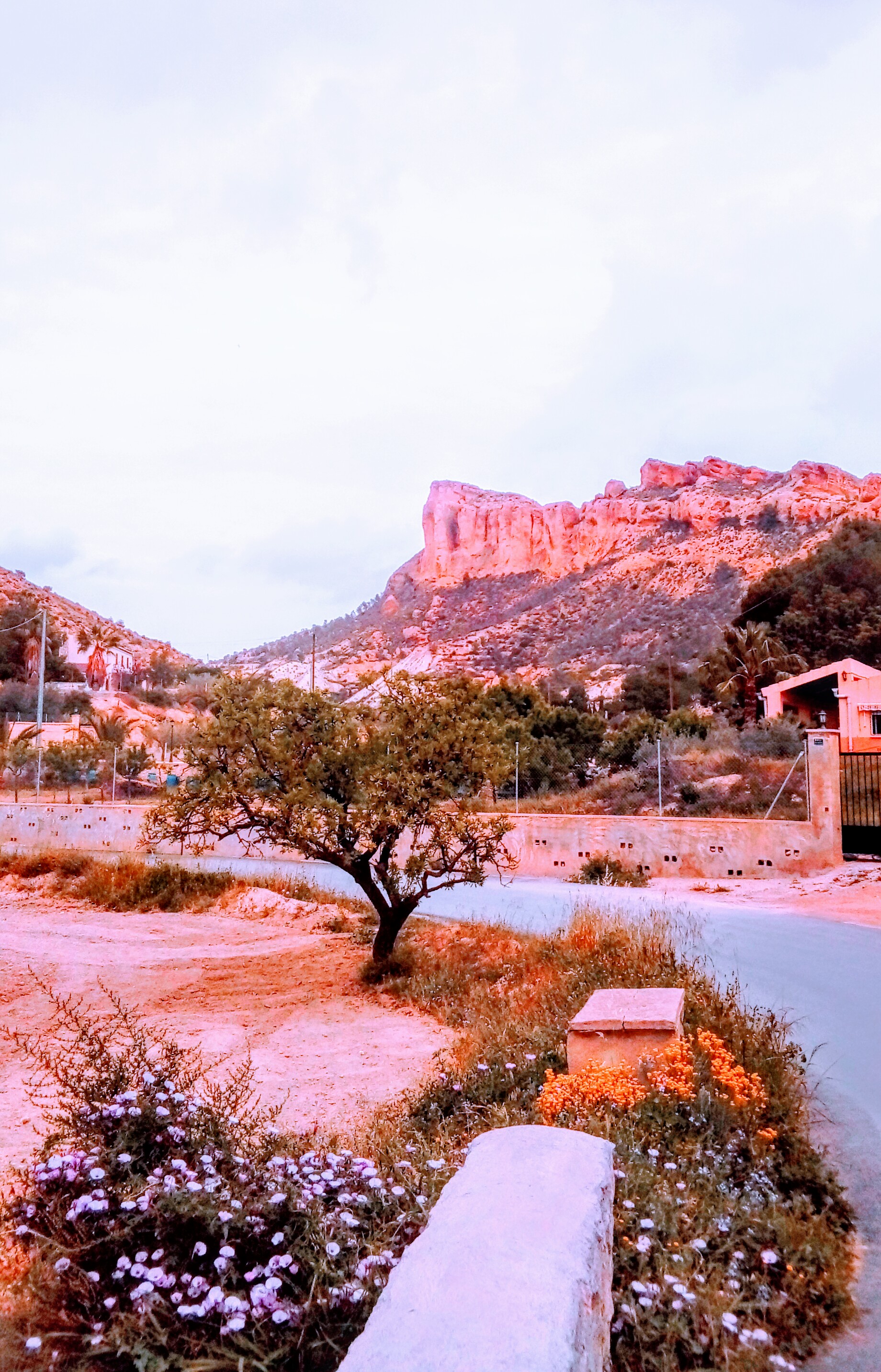 Sierra de Crevillente, Valencia