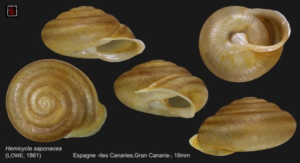 Agüimes, Canary Islands