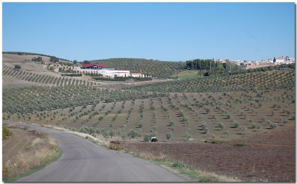 Santaella photo 2