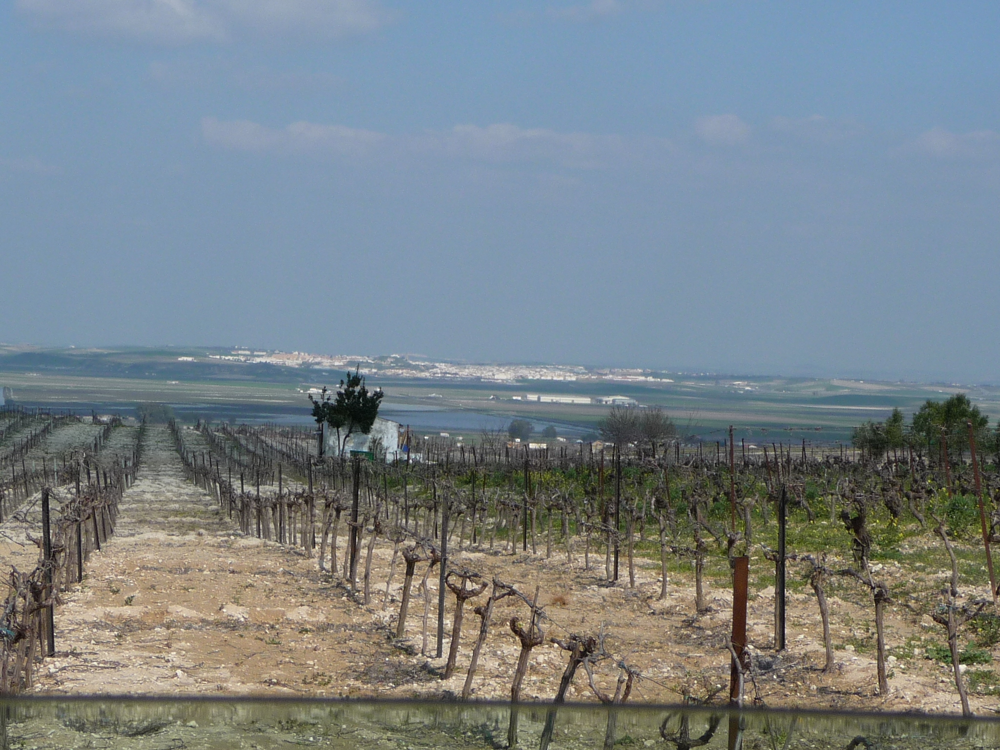 Trebujena photo 3