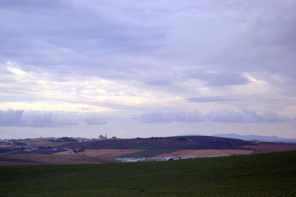 Santaella photo 3