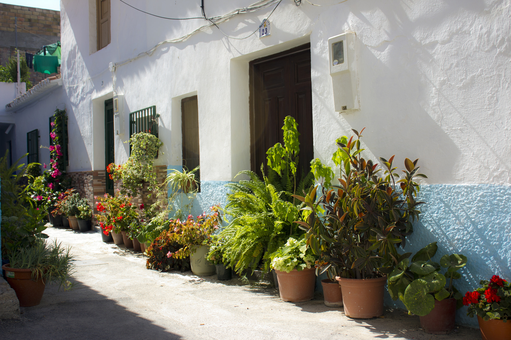 Vélez de Benaudalla photo 2