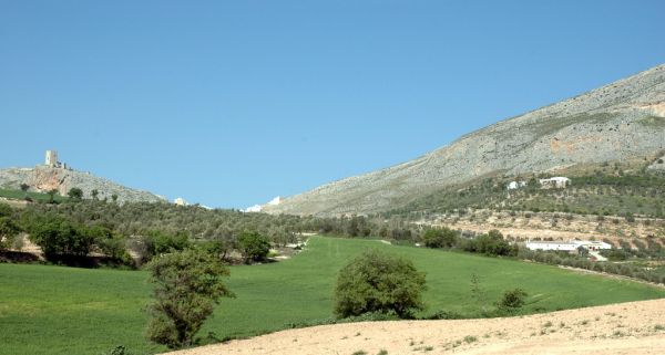 Teba photo 4
