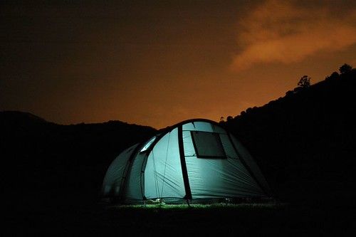 Selva photo 3