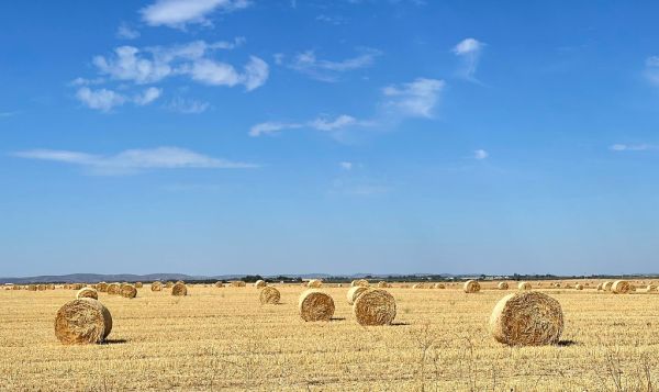 Cerro Yezosa, Castille-La Mancha