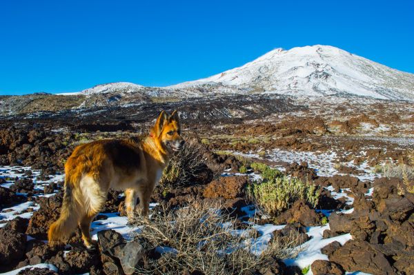 Pico de las Nieves, Canary Islands