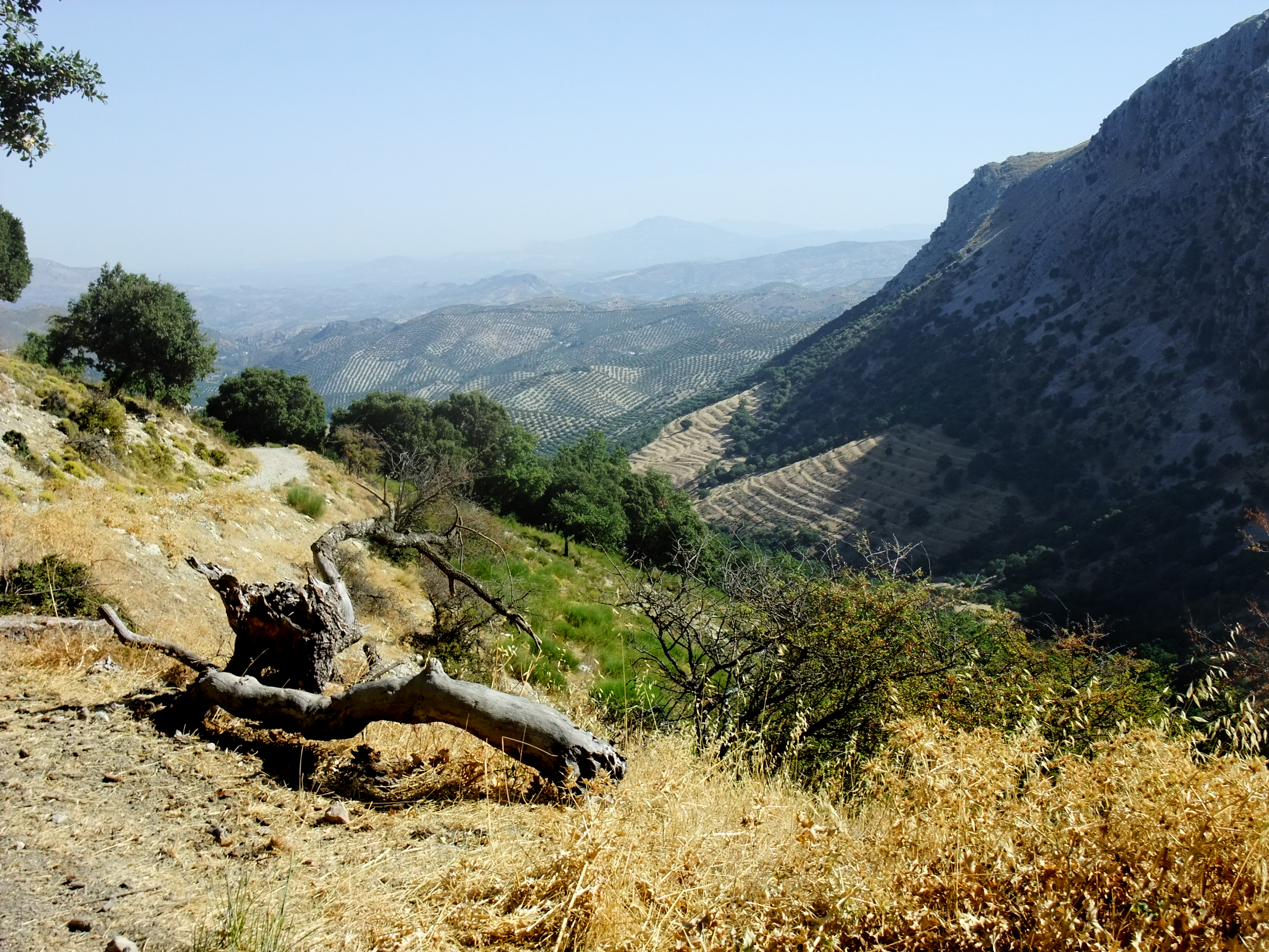 Sierra de la Horconera, Andalusia